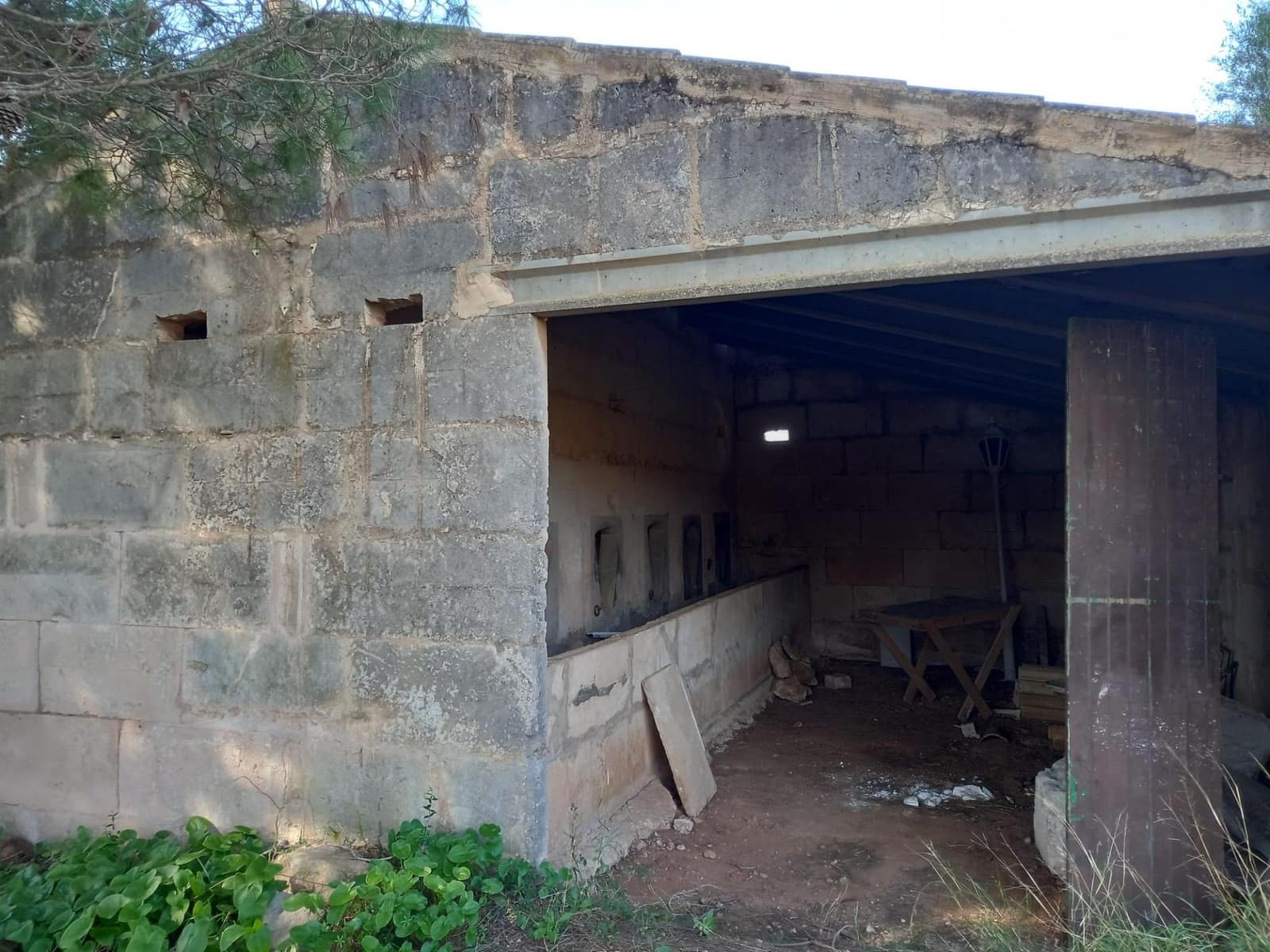 Terre non Aménagée à vendre à Campos - 310 000 € (Ref: 10043066)