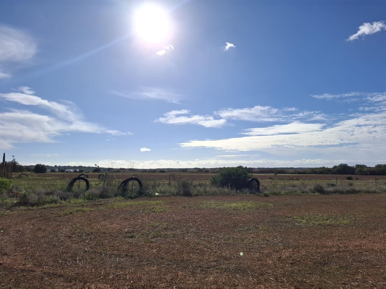 Terre non Aménagée à vendre à Campos - 310 000 € (Ref: 10043066)