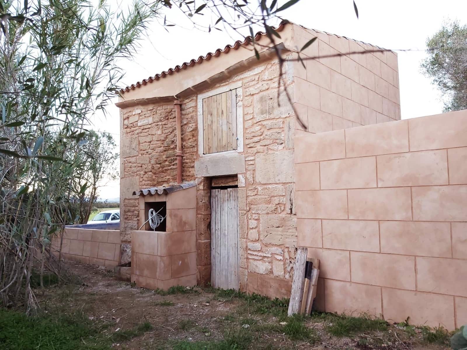 Terre non Aménagée à vendre à Campos - 310 000 € (Ref: 10043066)