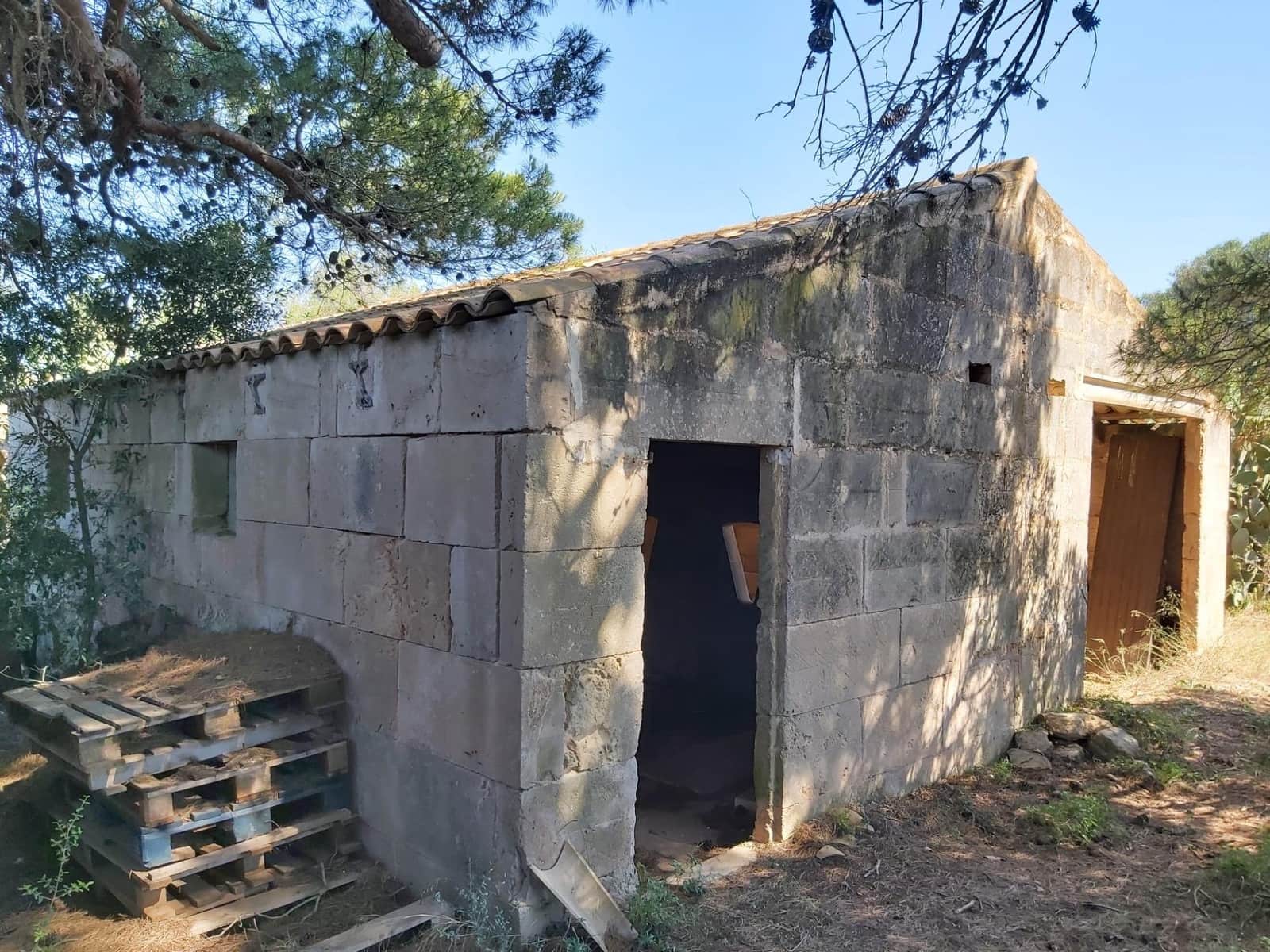 Terre non Aménagée à vendre à Campos - 310 000 € (Ref: 10043066)