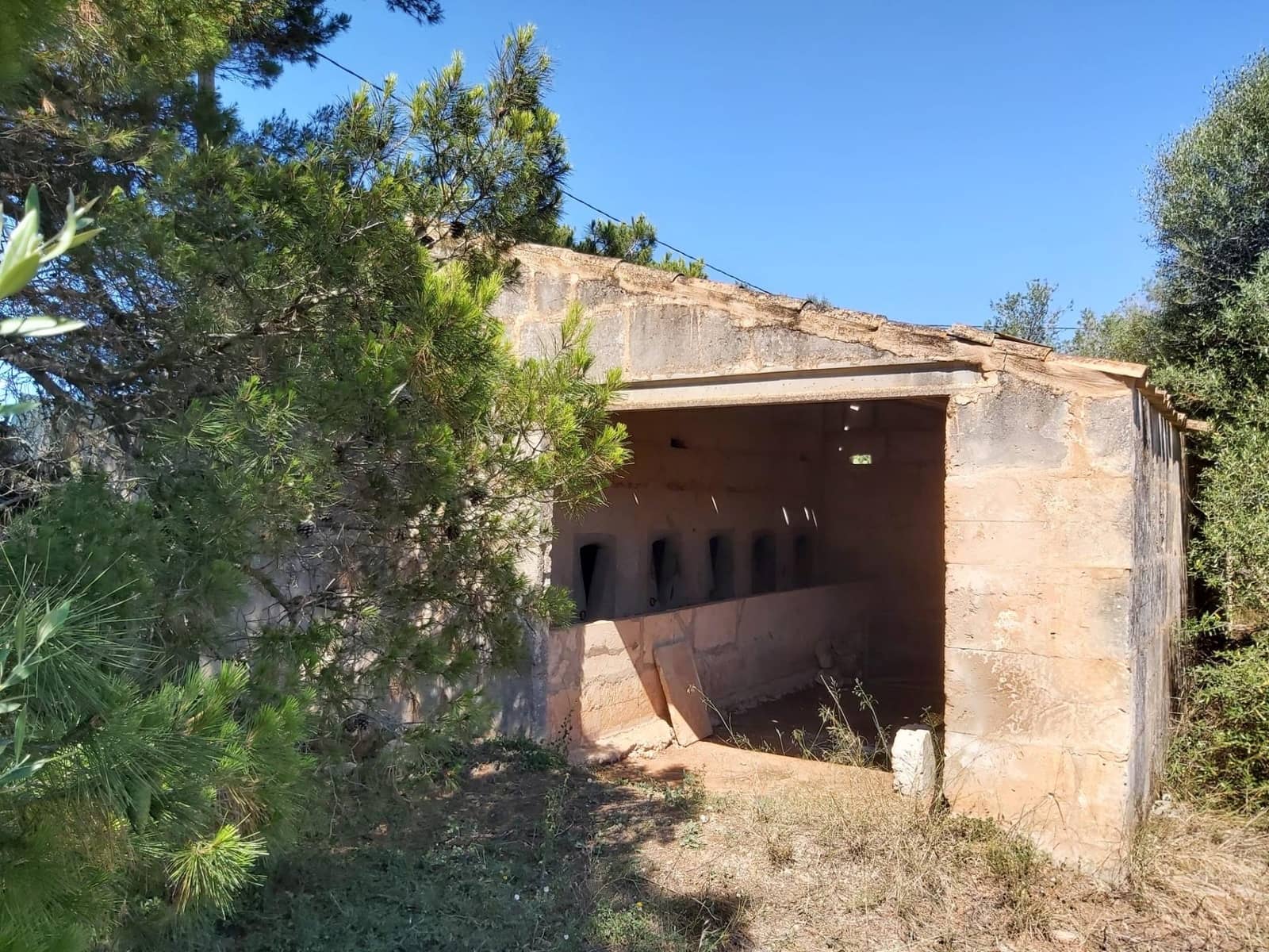 Terre non Aménagée à vendre à Campos - 310 000 € (Ref: 10043066)