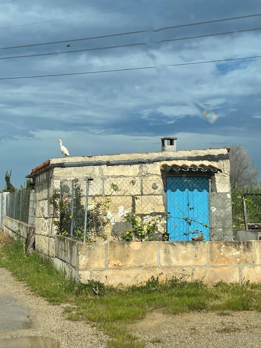 Mark till salu i Sa Pobla - 99 000 € (Ref: 10177205)