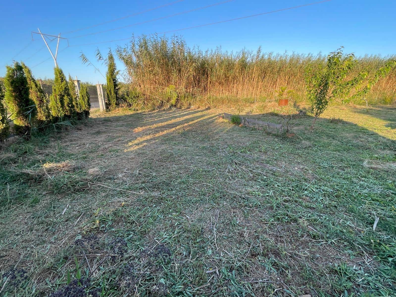 Mark till salu i Sa Pobla - 99 000 € (Ref: 10177205)