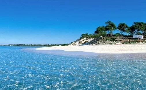 3 soverom Villa til salgs i Campos med svømmebasseng garasje - € 1 920 000 (Ref: 9586512)