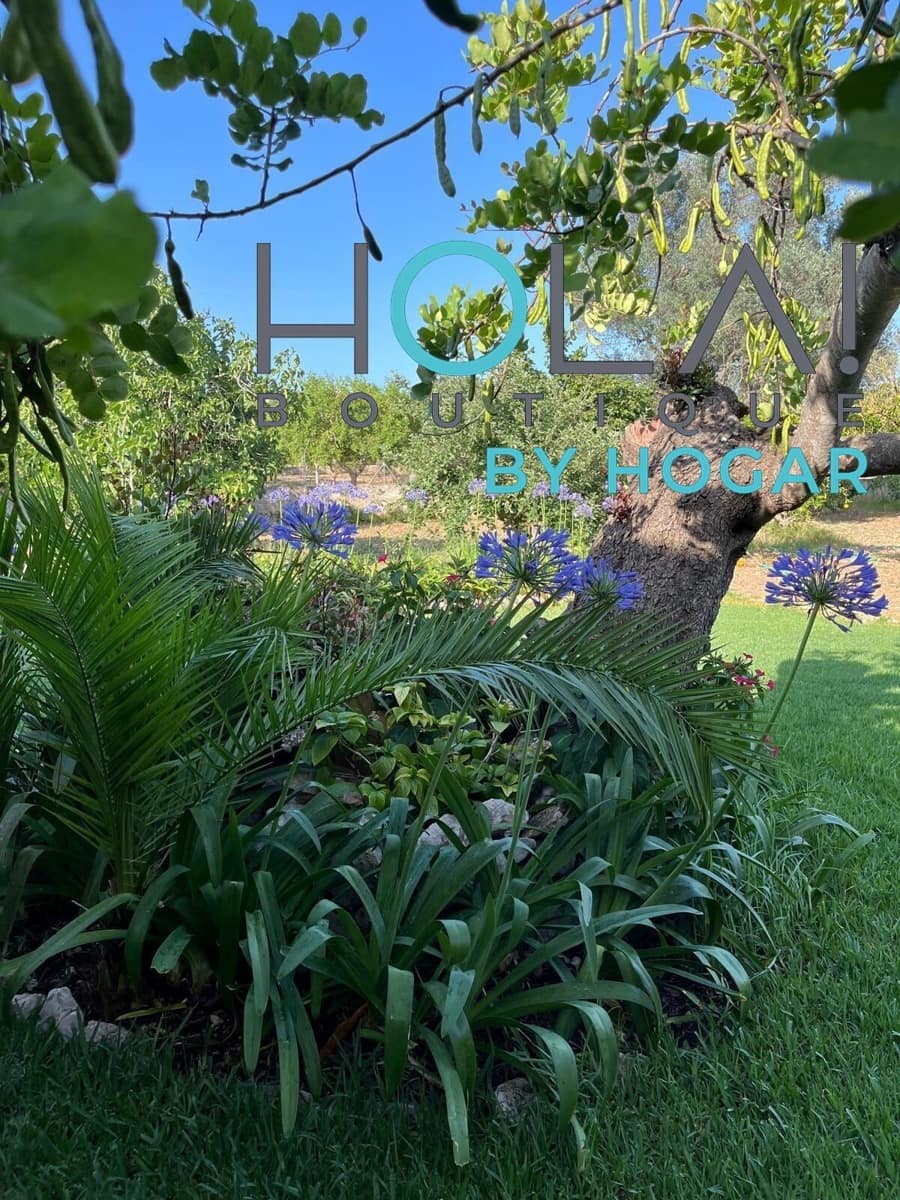 3 bedroom Finca/Country House for sale in Cala San Vicente / Cala Sant Vicenc with pool garage - € 950,000 (Ref: 9648124)