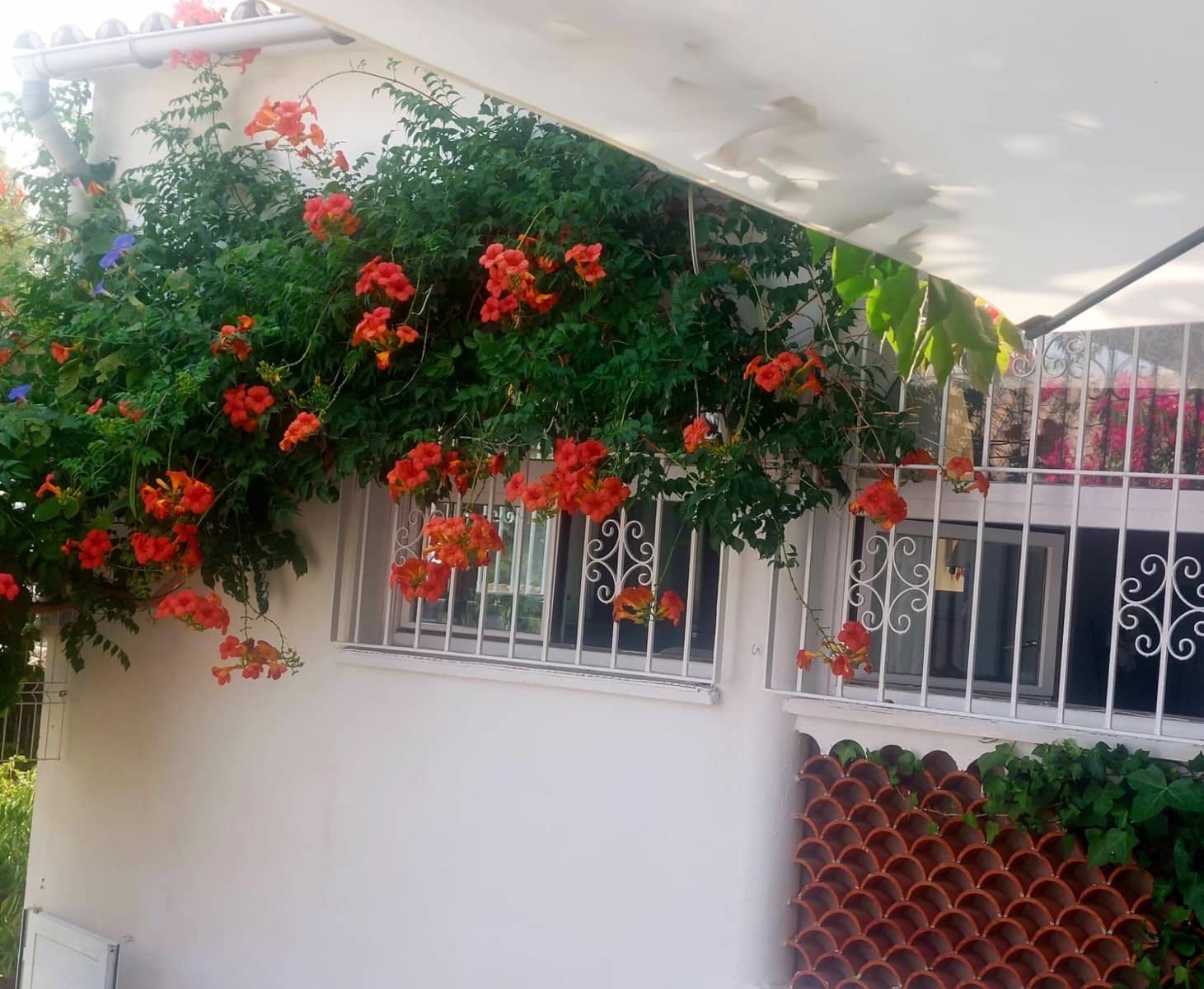 2 sypialnia Dom szeregowy na sprzedaż w Costa de la Calma - 470 000 € (Ref: 9978897)