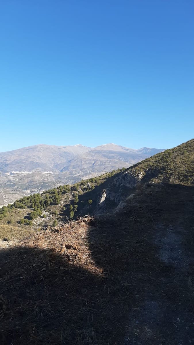 Ubebygd land til salgs i Velez de Benaudalla - € 750 000 (Ref: 9552590)