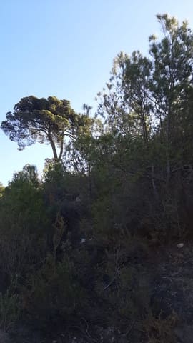 Ubebygd land til salgs i Vélez de Benaudalla - € 750 000 (Ref: 9552590)