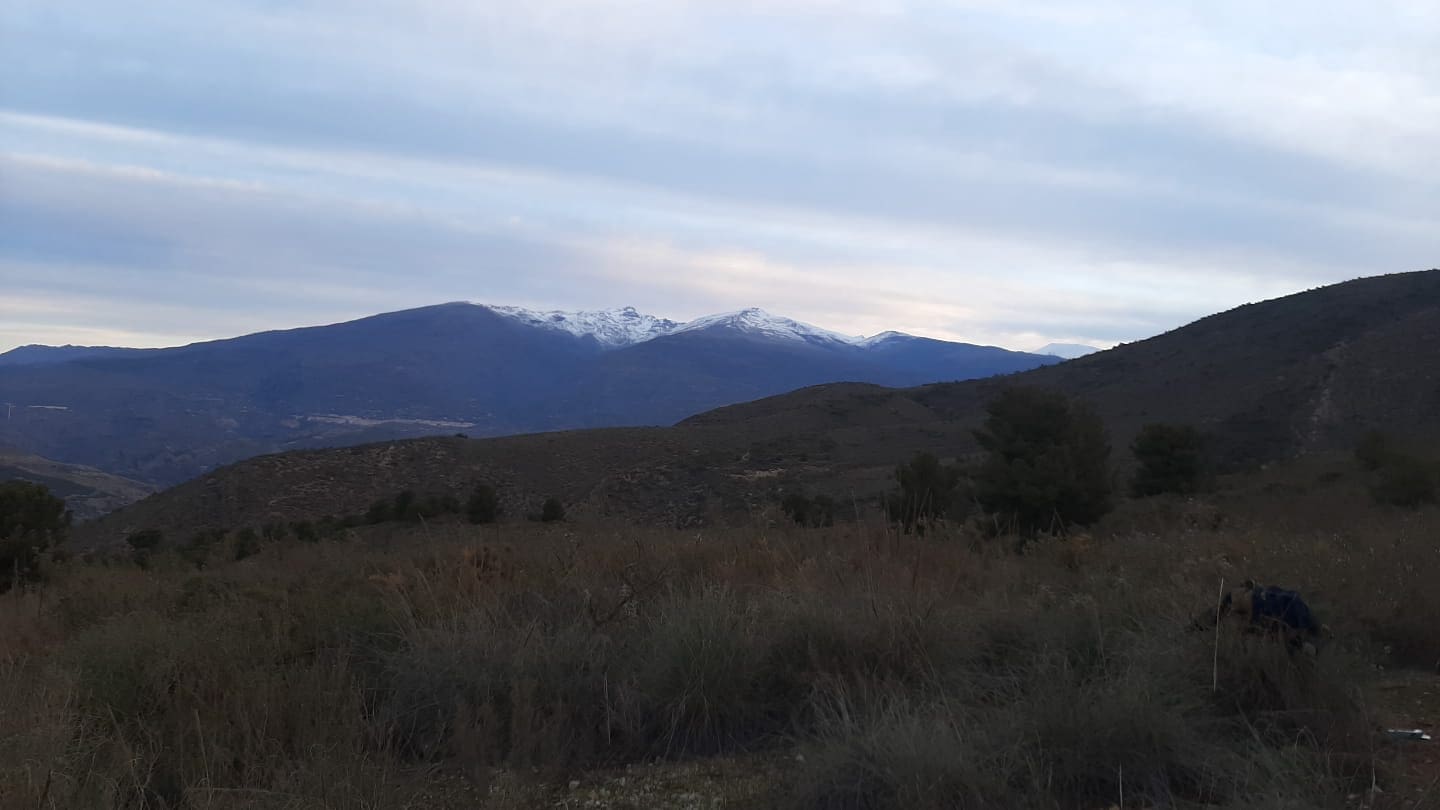 Ubebygd land til salgs i Velez de Benaudalla - € 750 000 (Ref: 9552590)