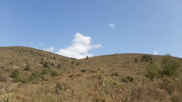 Ubebygd land til salgs i Vélez de Benaudalla - € 750 000 (Ref: 9552590)