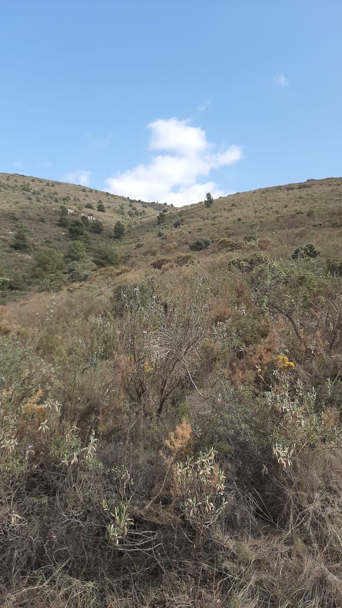 Ubebygd land til salgs i Velez de Benaudalla - € 750 000 (Ref: 9552590)