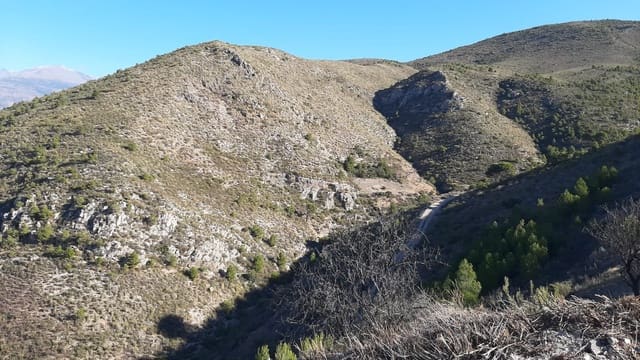 Ubebygd land til salgs i Vélez de Benaudalla - € 750 000 (Ref: 9552590)