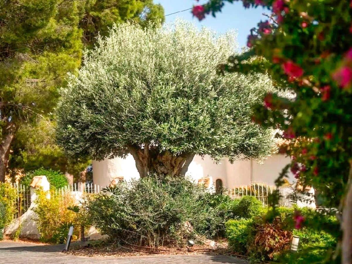 7 soveværelse Villa til salg i Altea la Vella med swimmingpool garage - € 1.840.000 (Ref: 10002636)