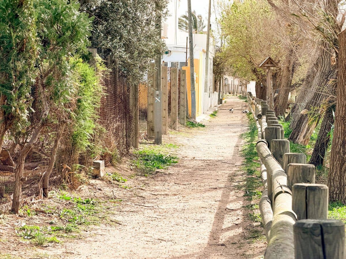 6 bedroom Commercial for sale in Sueca with garage - € 1,990,000 (Ref: 9610861)