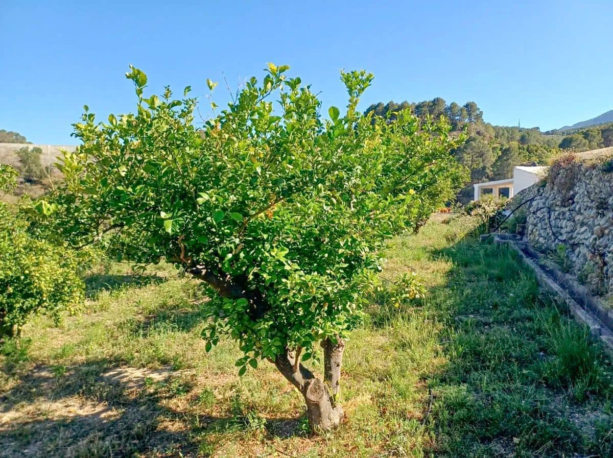 1 bedroom Finca/Country House for sale in Polop - € 190,000 (Ref: 9926835)