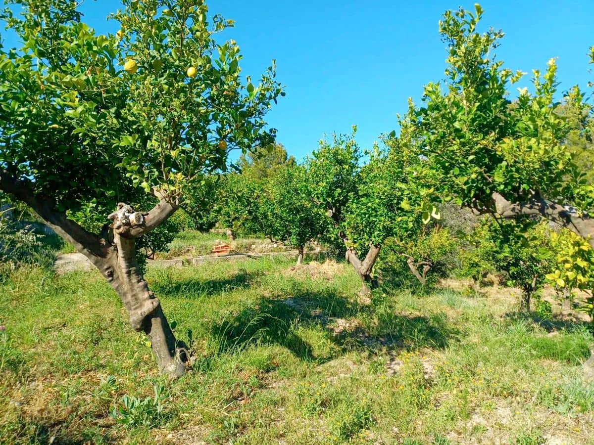 1 bedroom Finca/Country House for sale in Polop - € 190,000 (Ref: 9926835)