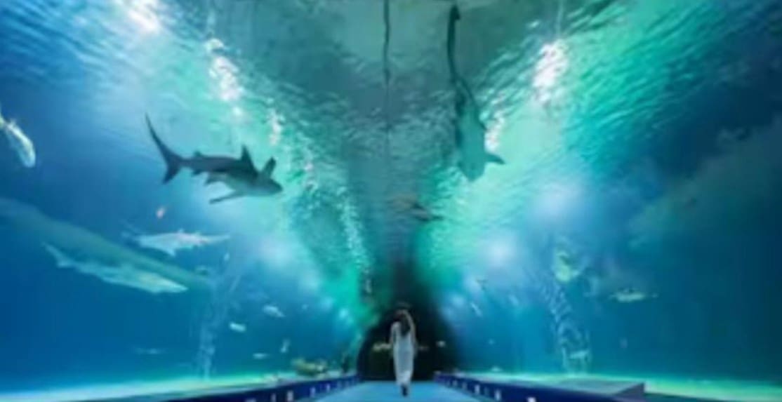 3 soveværelse Lejlighed til salg i Valencia by - € 565.000 (Ref: 9557778)