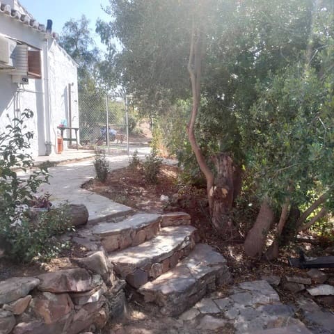 1 bedroom Apartment for rent in Almogía with pool garage - € 650 (Ref: 9550033)