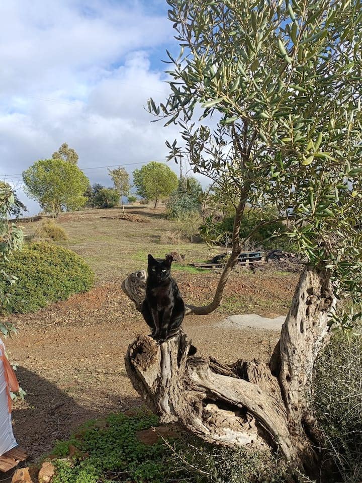 1 soveværelse Byhus til leje i Almogia med swimmingpool garage - € 680 (Ref: 9552487)