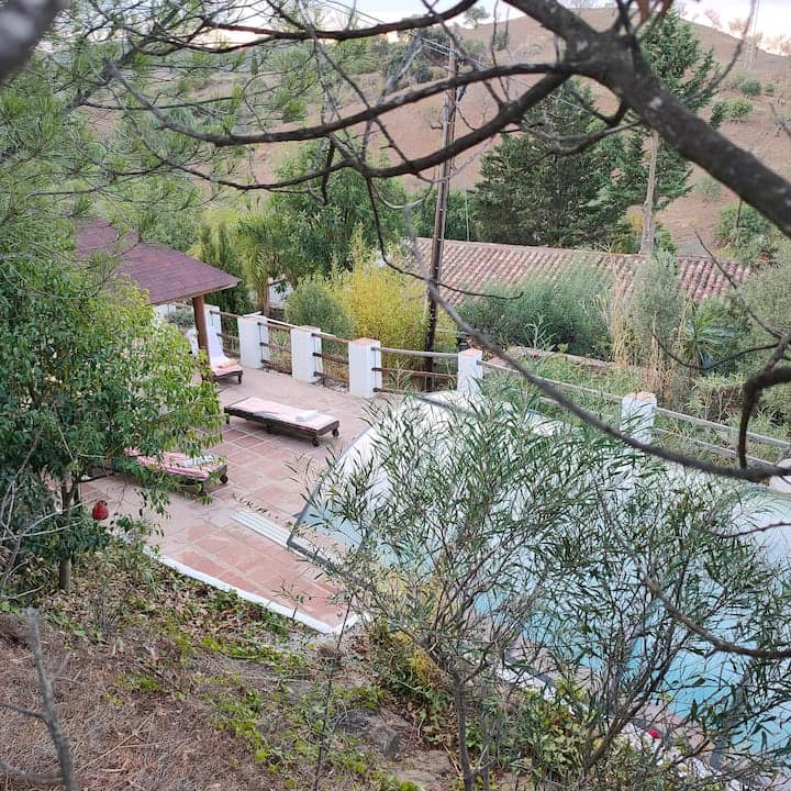 1 makuuhuone Huoneisto vuokrattavana paikassa Almogia mukana uima-altaan 
autotalli - 600 € (Ref: 9553114)