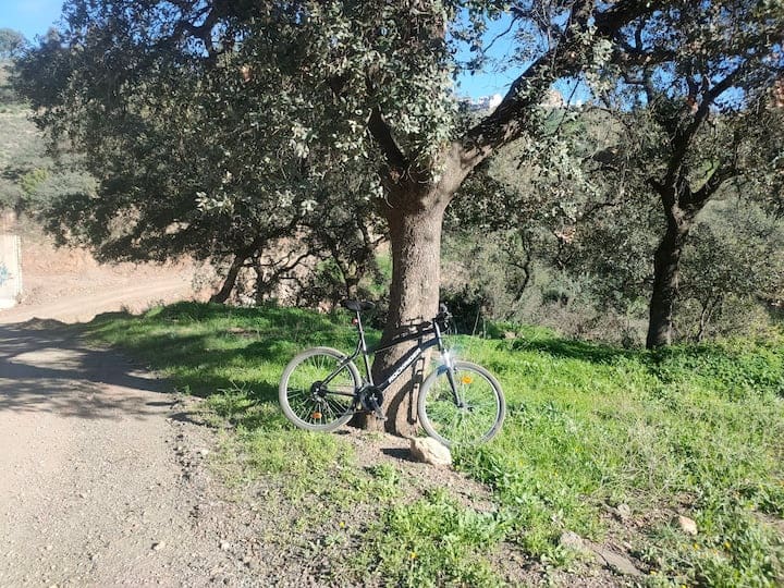 1 makuuhuone Huoneisto vuokrattavana paikassa Almogia mukana uima-altaan 
autotalli - 600 € (Ref: 9553114)