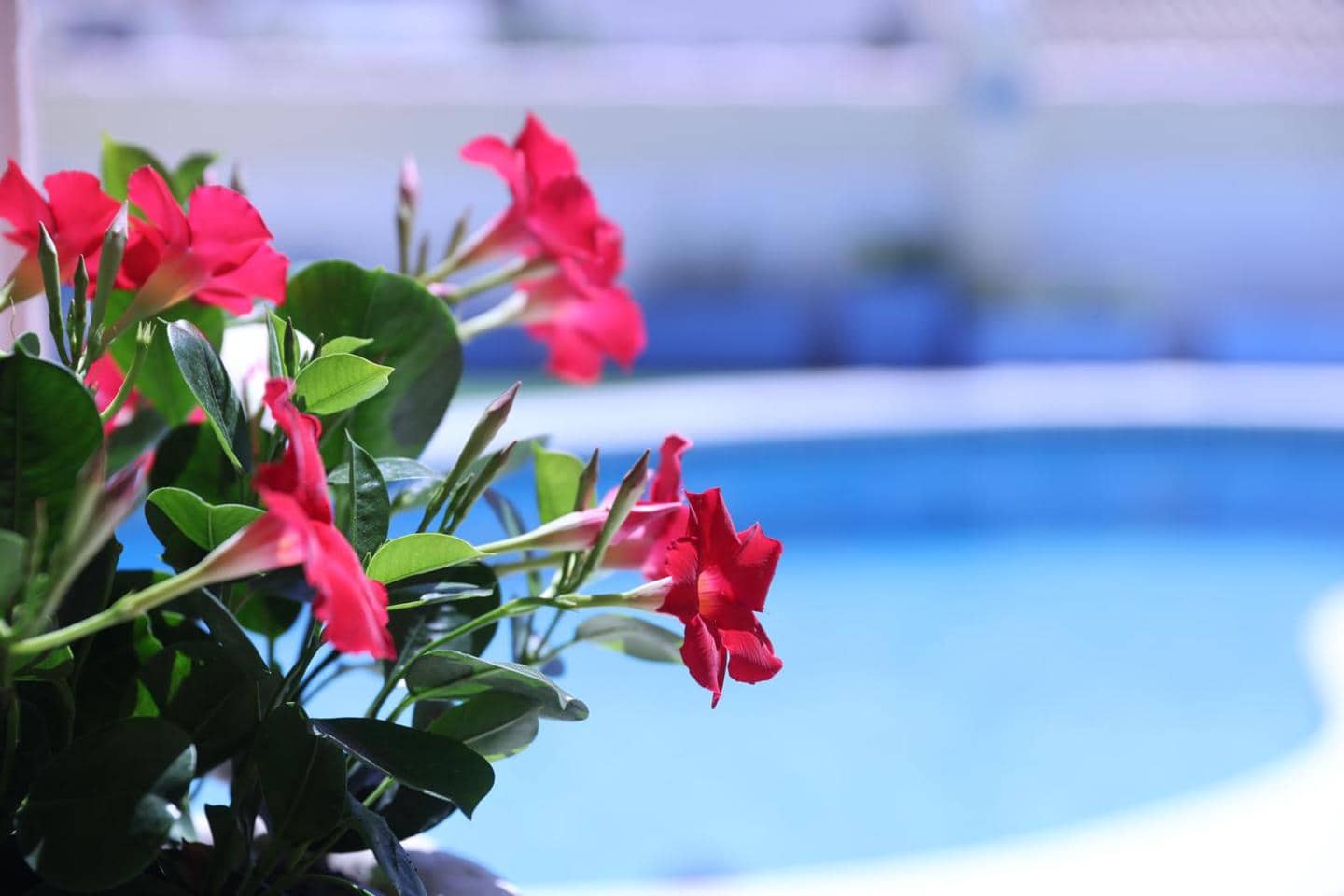 4 sypialnia Willa na sprzedaż w Empuriabrava z basenem garażem - 525 000 € (Ref: 9598251)