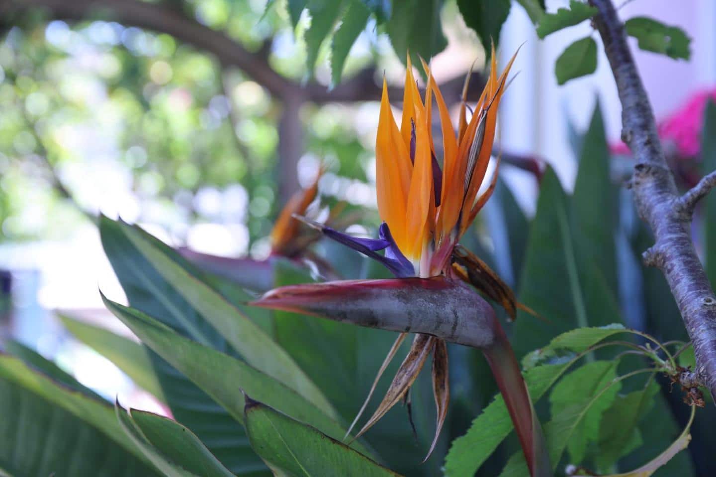 4 sypialnia Willa na sprzedaż w Empuriabrava z basenem garażem - 525 000 € (Ref: 9598251)