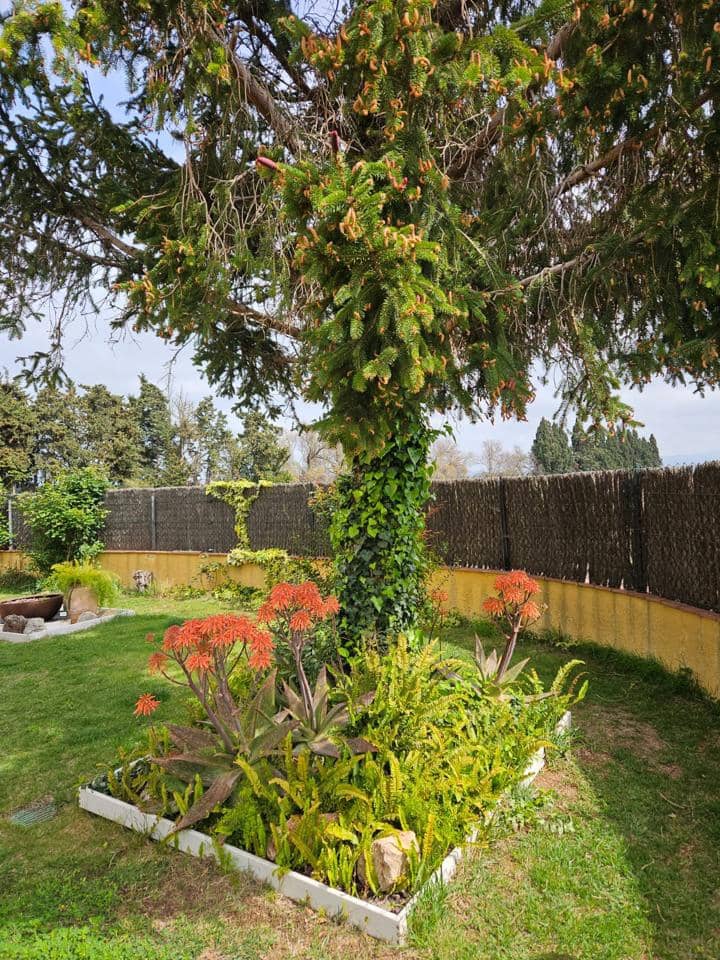 3 bedroom Villa for sale in Fortia - € 420,000 (Ref: 9598261)