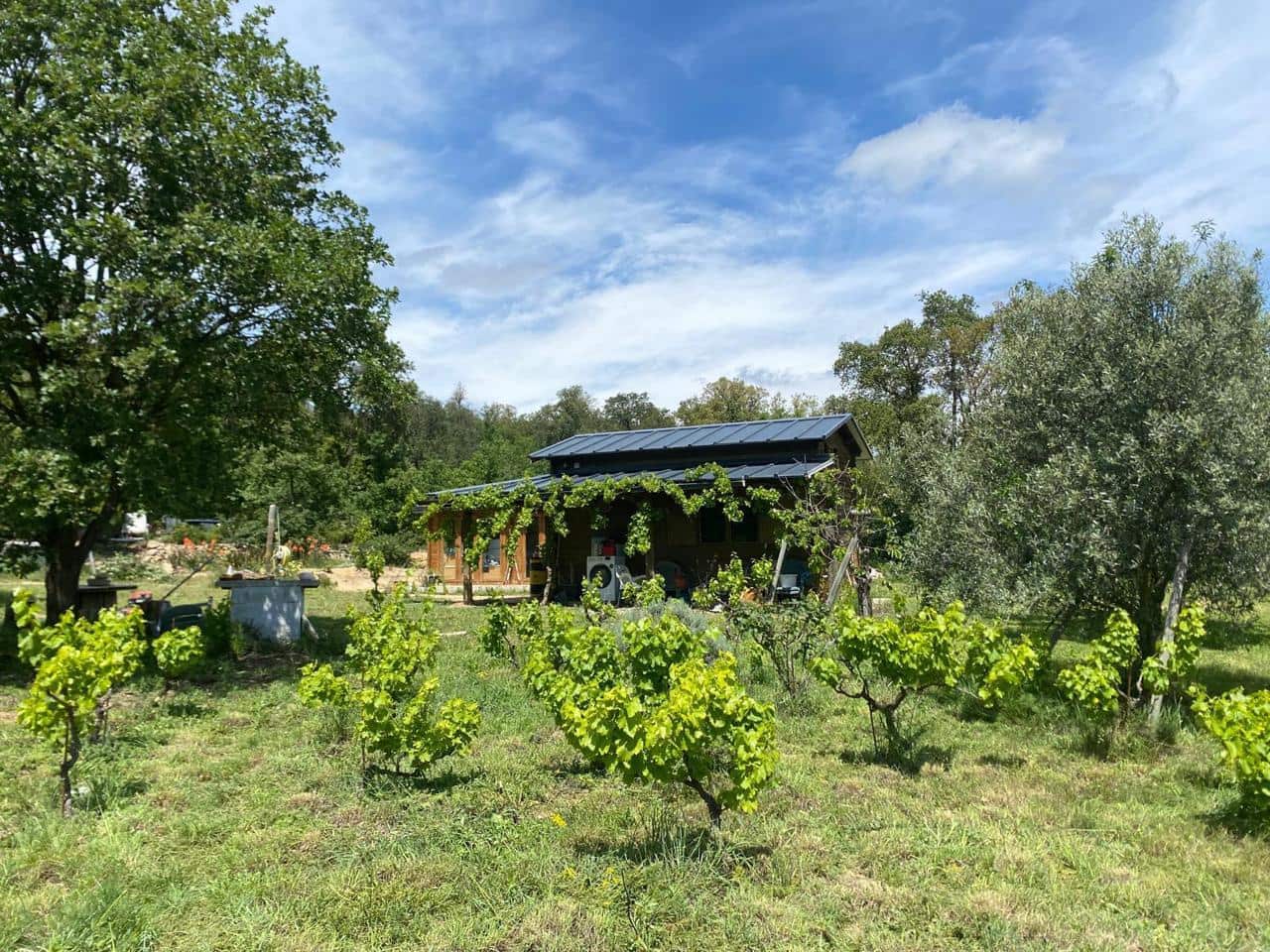 Teren niezagospodarowany na sprzedaż w Capmany - 120 000 € (Ref: 9656987)