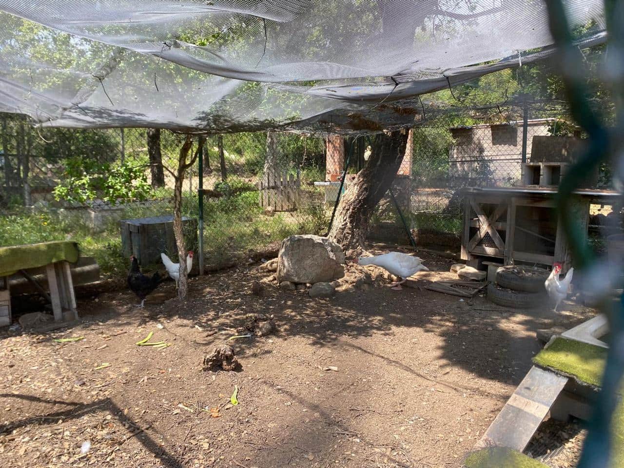 Teren niezagospodarowany na sprzedaż w Capmany - 120 000 € (Ref: 9656987)