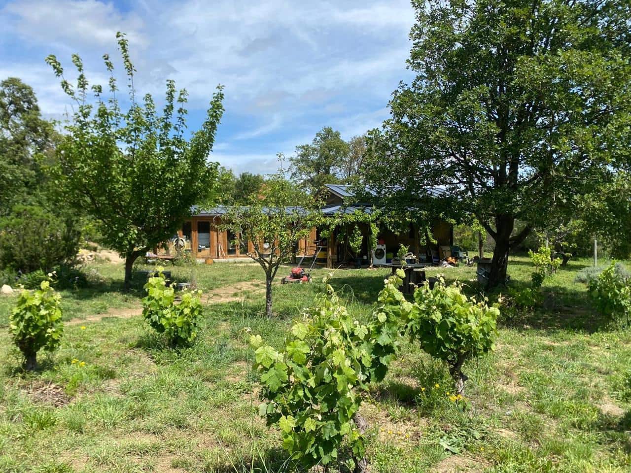 Teren niezagospodarowany na sprzedaż w Capmany - 120 000 € (Ref: 9656987)