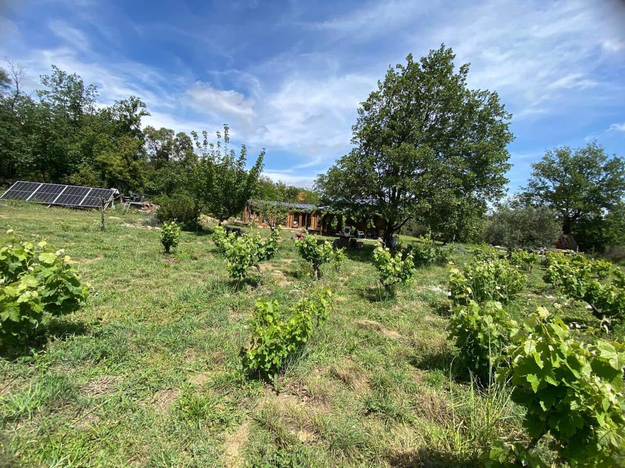 Teren niezagospodarowany na sprzedaż w Capmany - 120 000 € (Ref: 9656987)