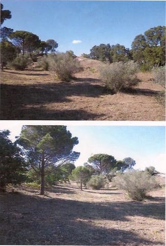 Terreno Non Edificato in vendita in Vilajuïga - 595.000 € (Rif: 9833027)