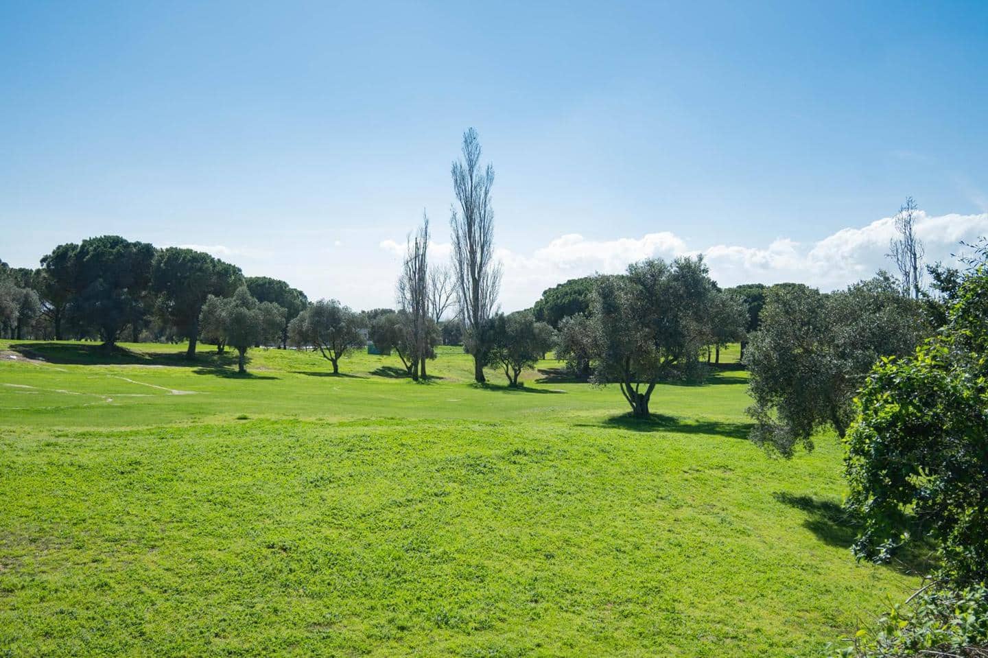 5 bedroom Villa for sale in Peralada with pool garage - € 1,800,000 (Ref: 9850588)