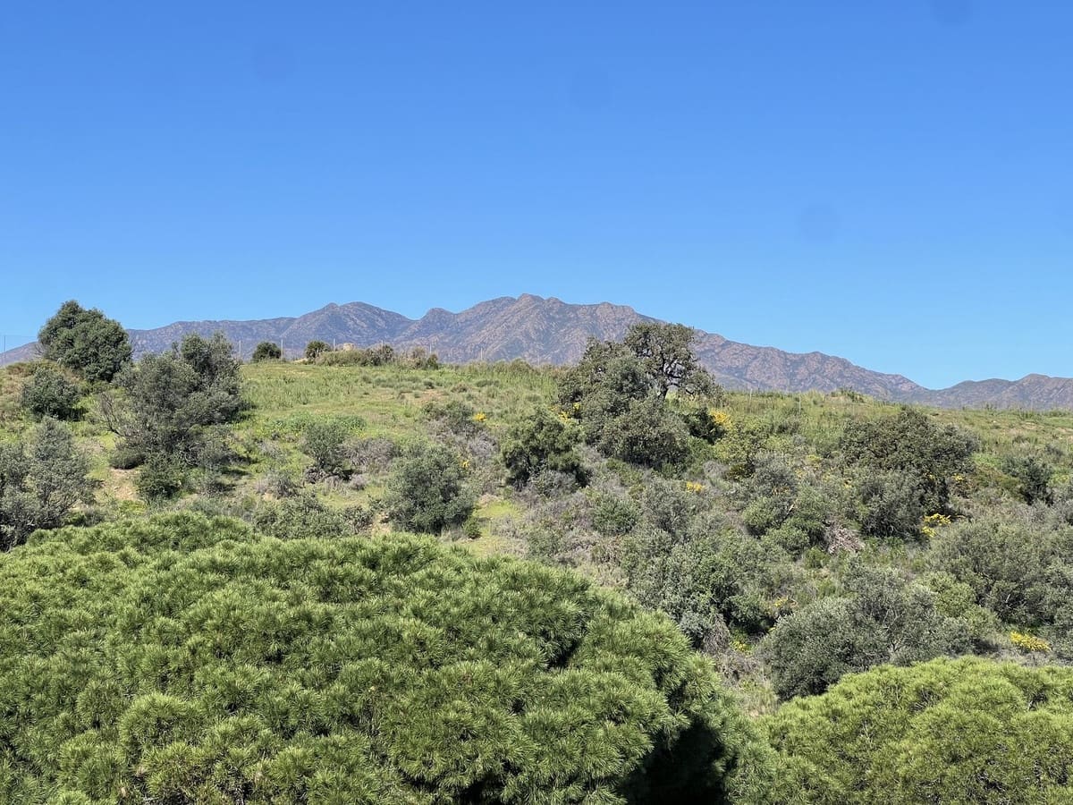 3 Zimmer Penthouse zu verkaufen in La Cala Hills mit Pool Garage - 660.000 € (Ref: 9699666)