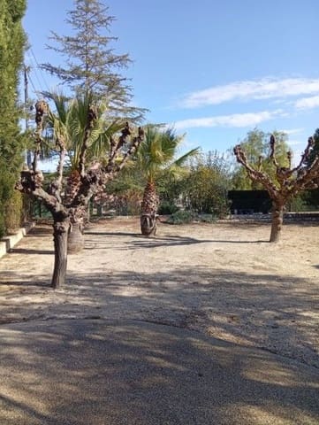 5 sypialnia Willa na sprzedaż w Ontinyent - 250 000 € (Ref: 9569203)