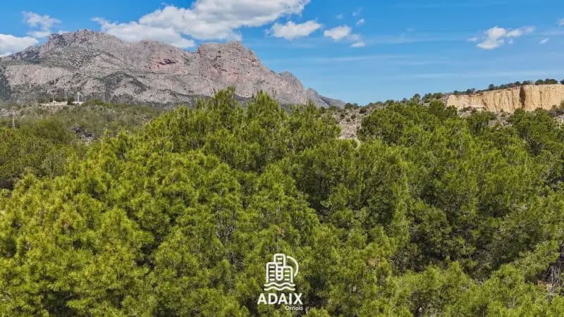Erhverv til salg i Benidorm - € 890.000 (Ref: 9592104)