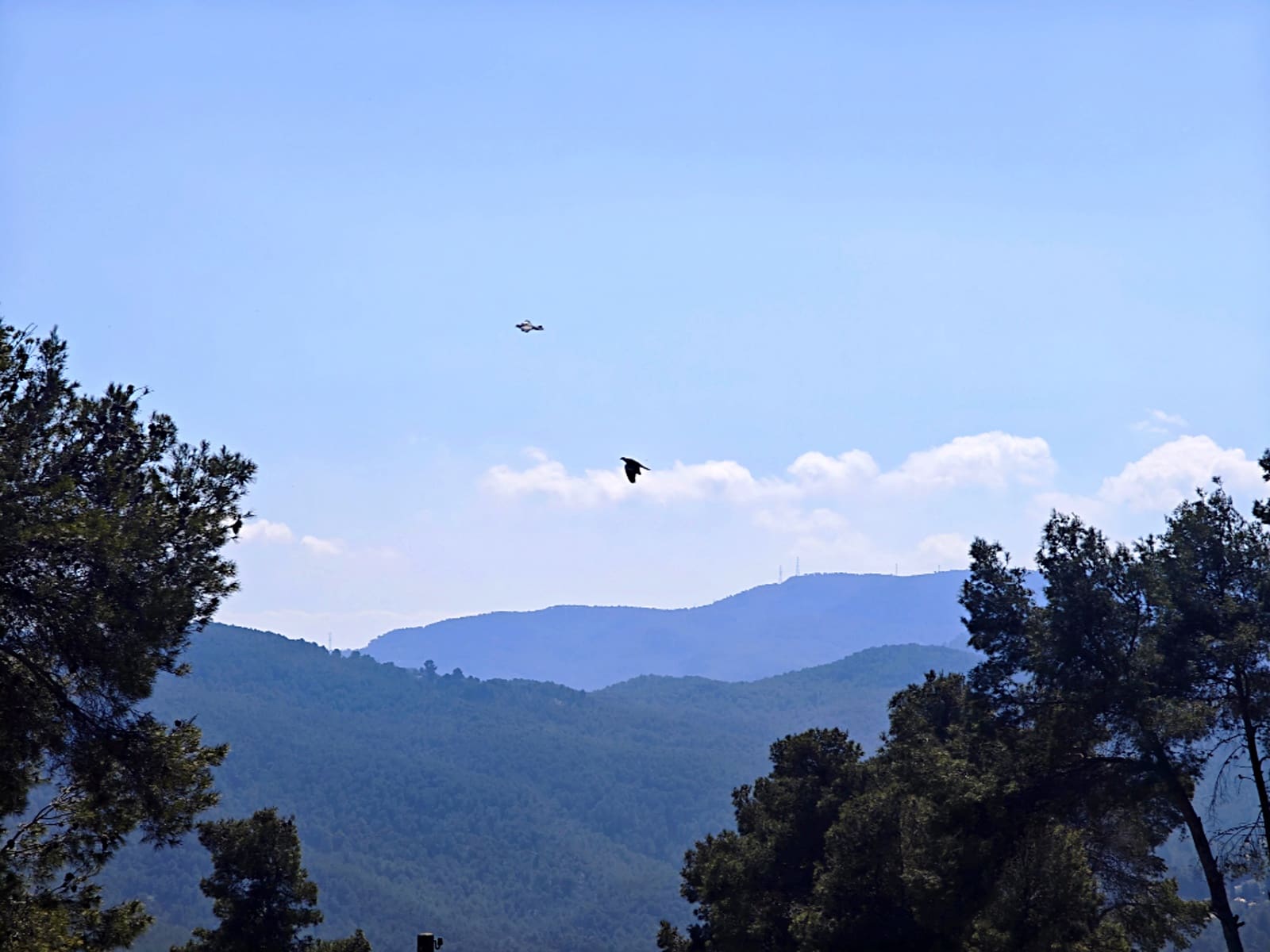 4 bedroom Villa for sale in Corbera de Llobregat with pool garage - € 495,000 (Ref: 9739246)