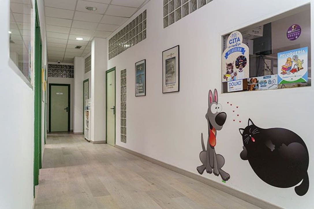 Komercyjne na sprzedaż w Puerto del Rosario - 220 000 € (Ref: 9628249)