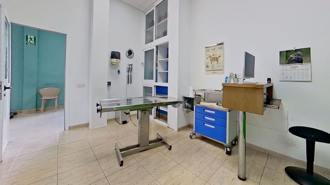 Komercyjne na sprzedaż w Puerto del Rosario - 220 000 € (Ref: 9628249)