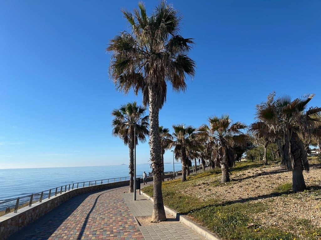 2 chambre Appartement à vendre à Torre de la Horadada avec piscine garage - 235 000 € (Ref: 9797373)