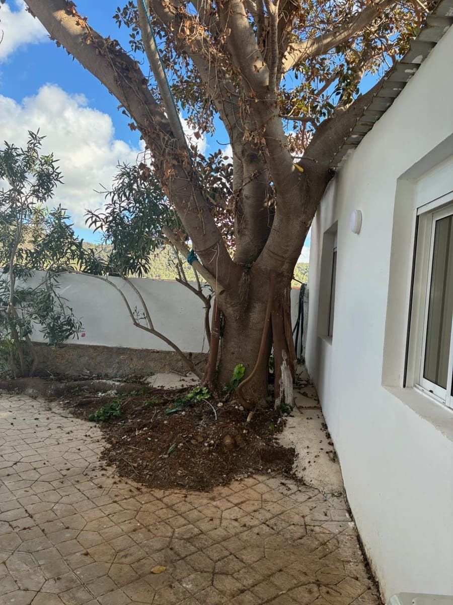 12 makuuhuone Huvila vuokrattavana paikassa San Jose / Sant Josep de Sa Talaia mukana uima-altaan 
autotalli - 12 500 € (Ref: 9603476)