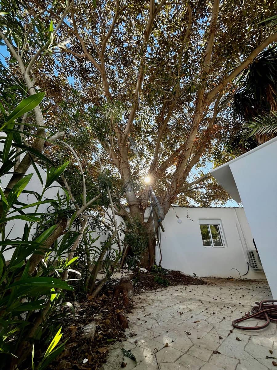 12 makuuhuone Huvila vuokrattavana paikassa San Jose / Sant Josep de Sa Talaia mukana uima-altaan 
autotalli - 12 500 € (Ref: 9603476)