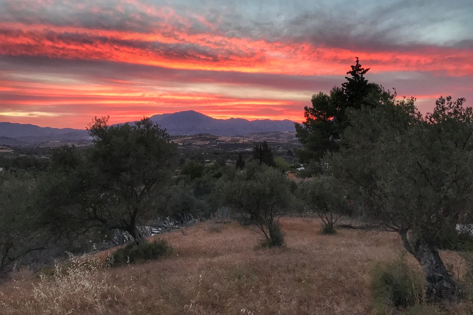 Finca/Herregård til leie i Coin med svømmebasseng garasje - € 2 500 (Ref: 9603426)