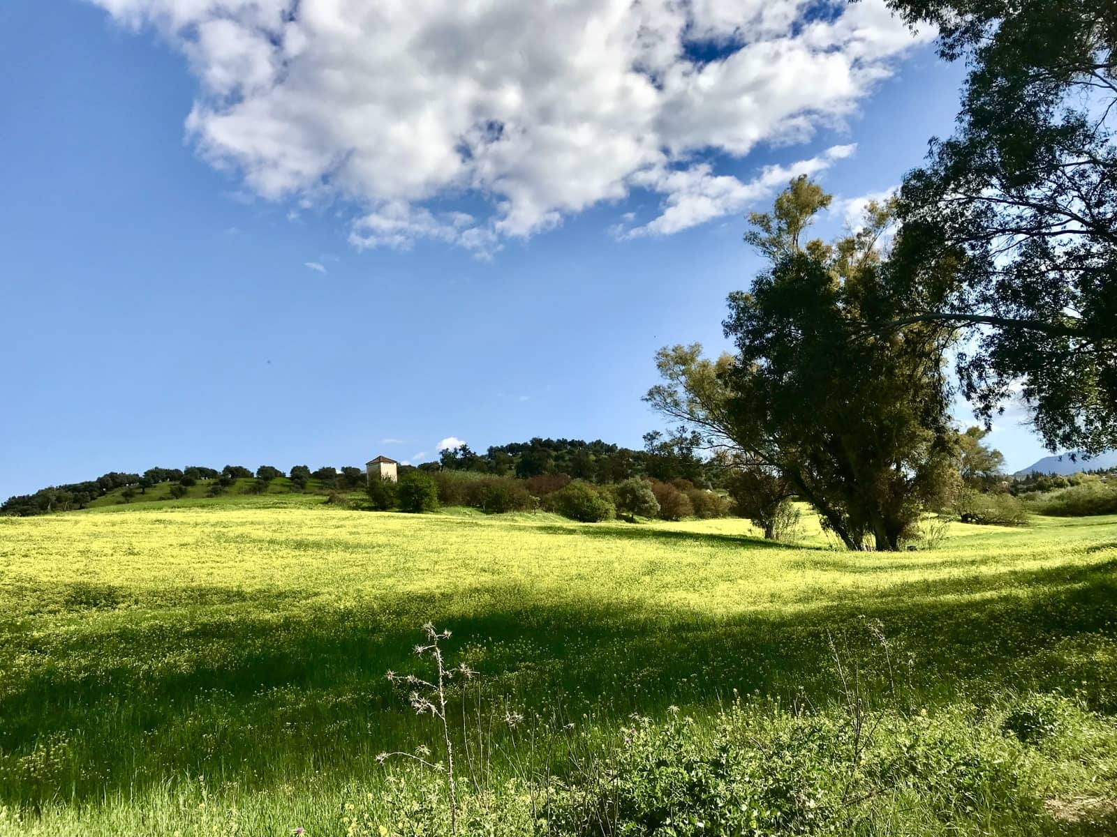 Finca/Herregård til leie i Coin med svømmebasseng garasje - € 2 500 (Ref: 9603426)