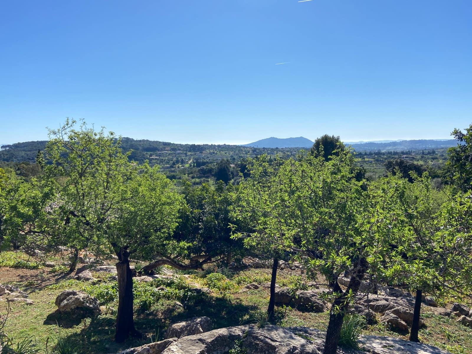 3 makuuhuone Omakotitalo myytävänä paikassa Caimari - 280 000 € (Ref: 9639477)