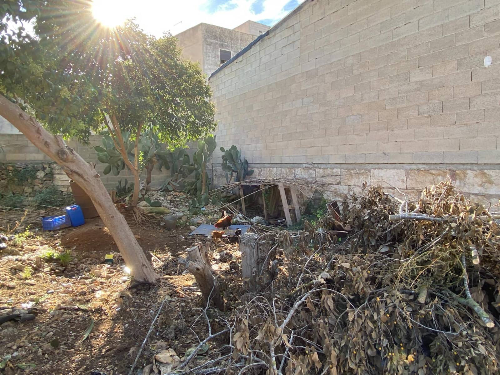 Building Plot for sale in Muro - € 165,000 (Ref: 9679809)