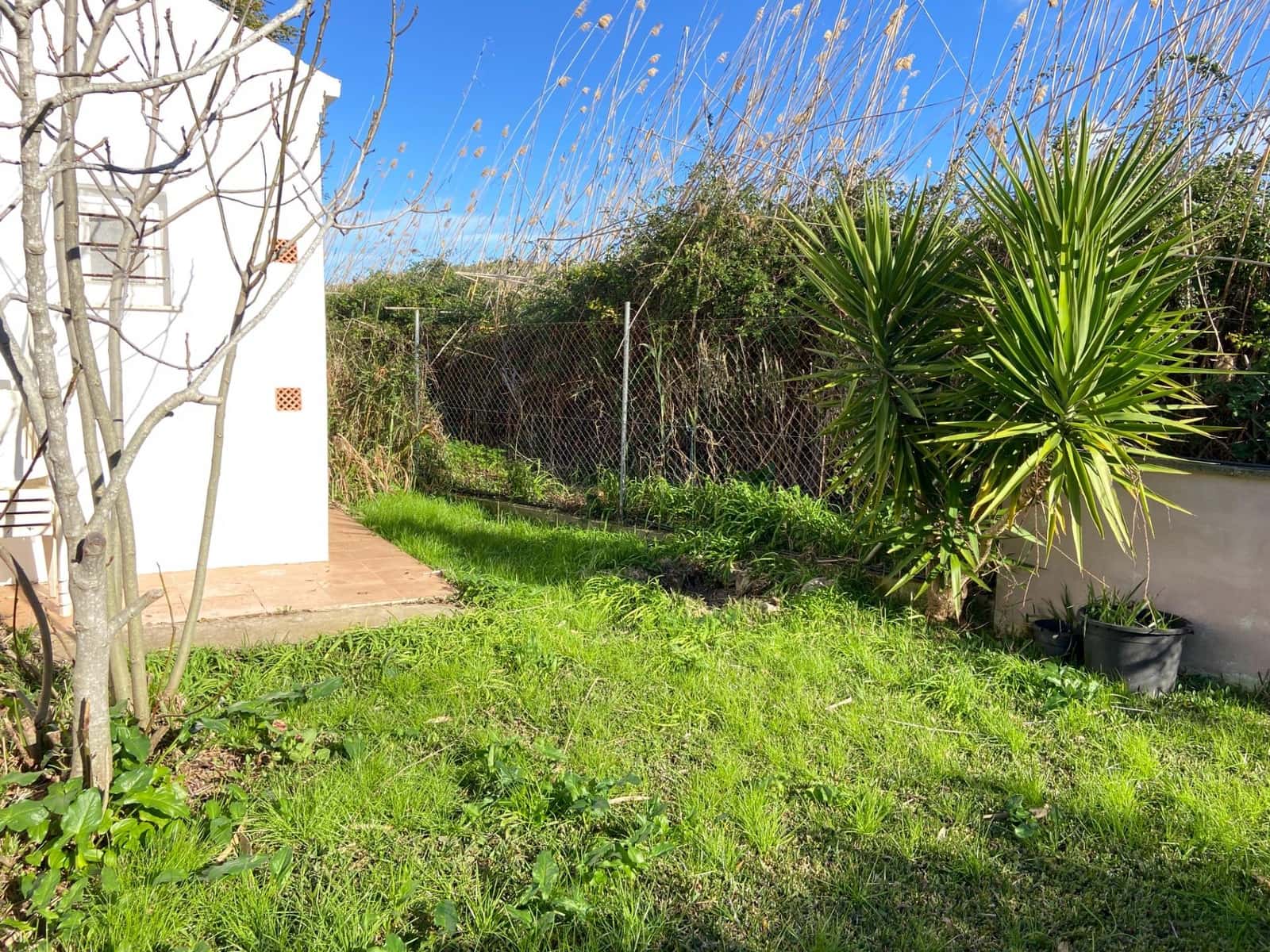 Finca/Casa Rural de 3 habitaciones en Sa Pobla en venta con piscina - 435.000 € (Ref: 9679810)