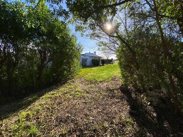 Finca/Casa Rural de 3 habitaciones en Sa Pobla en venta con piscina - 435.000 € (Ref: 9679810)