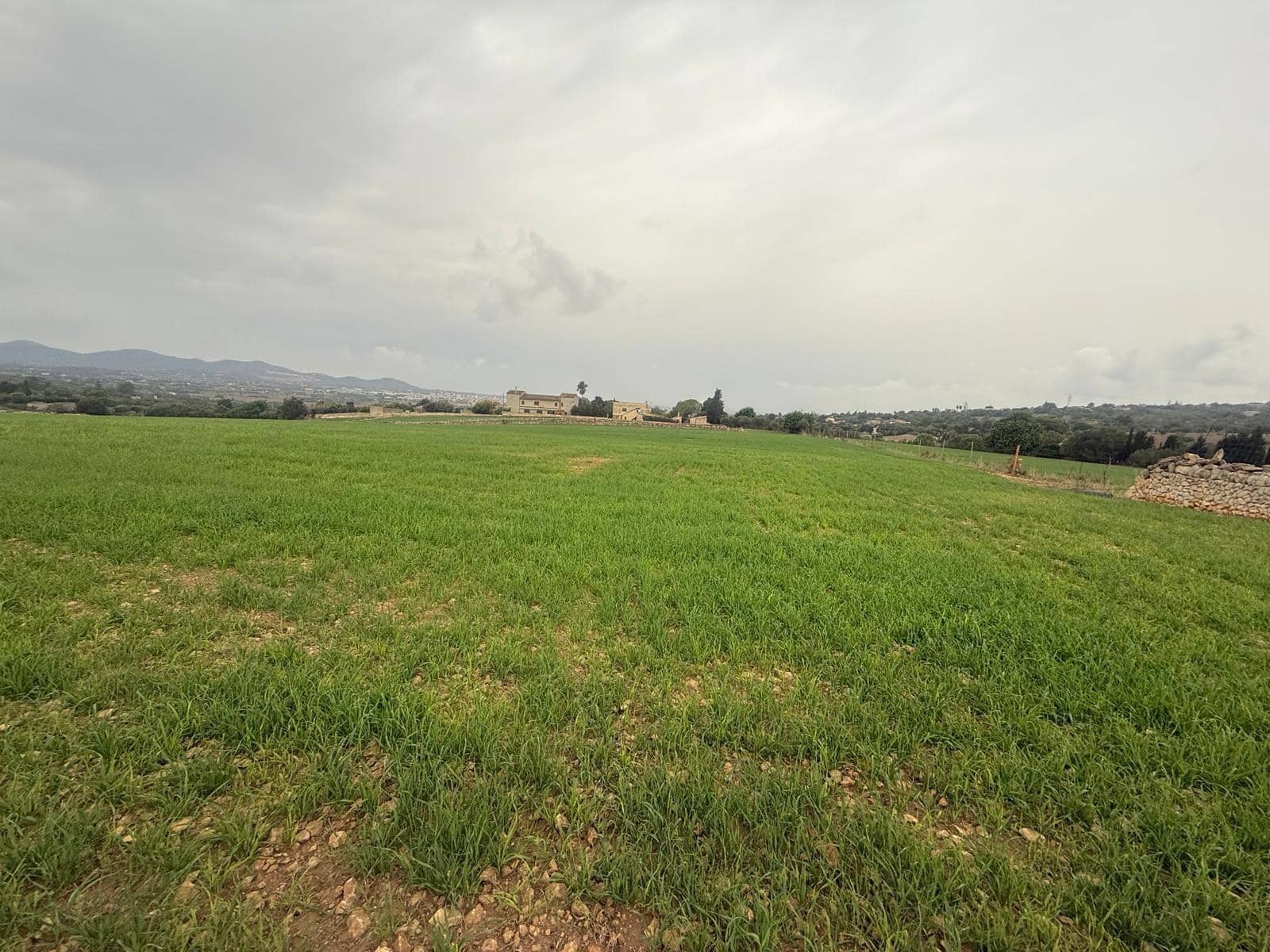 Finca/Country House for sale in Manacor - € 350,000 (Ref: 9686369)